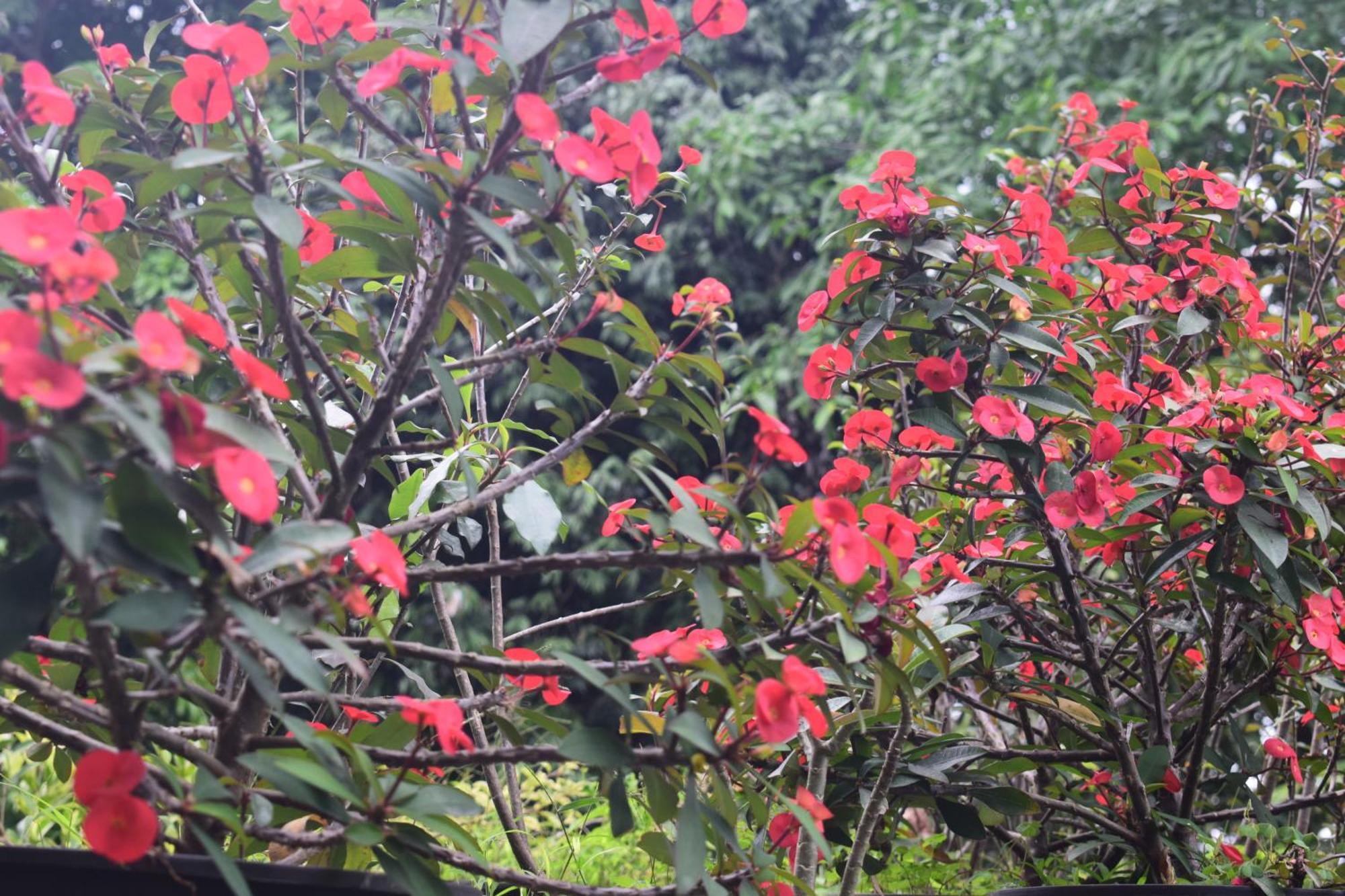 Namaya Nature Kandy Ngoại thất bức ảnh